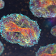 3D illustration of monkeypox virus
